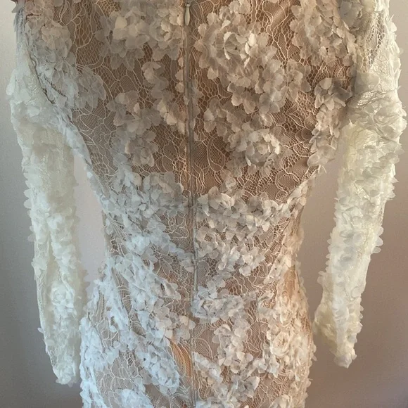 XSCAPE size 4 stunning lace dress tan lining - Picture 7 of 13